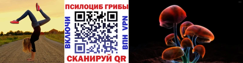 МЕГА ONION  Бор  Псилоцибиновые грибы Psilocybe 