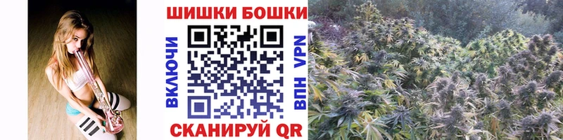 как найти закладки  Бор  Шишки марихуана конопля 